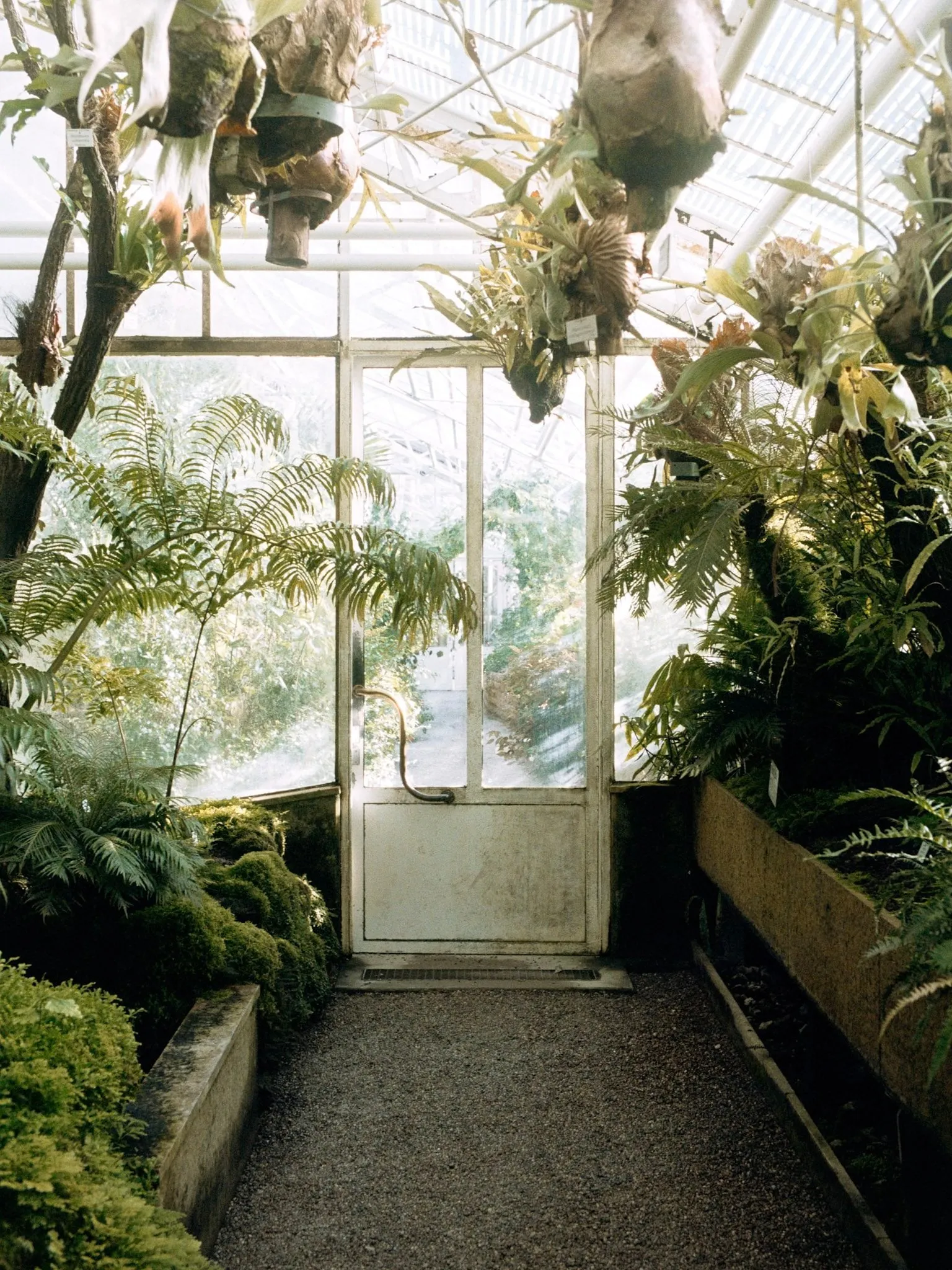 Sample scan, Portra 160